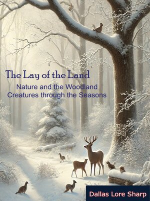 cover image of The Lay of the Land